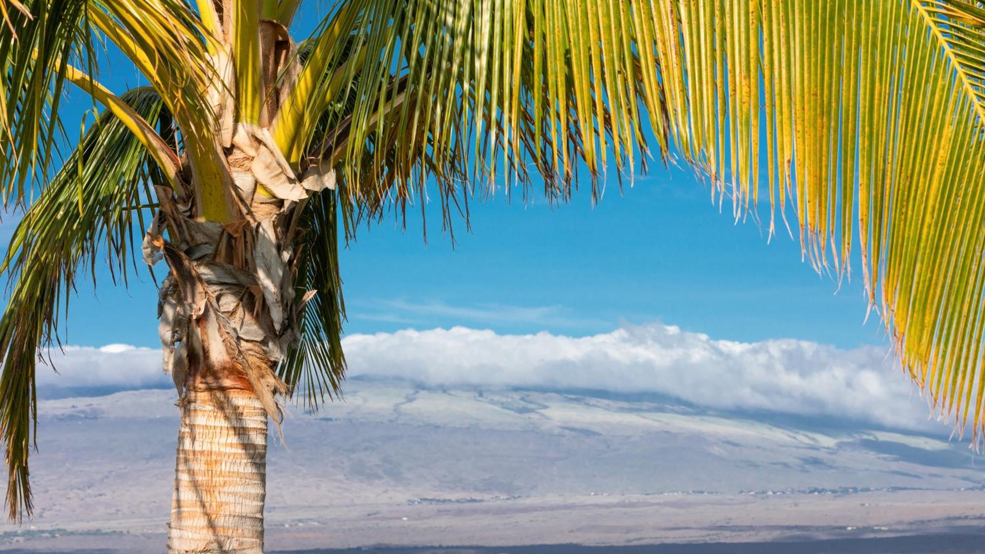 Starry Nights Dreamy 4Br Ainamalu Home With Mountain View Waikoloa Dış mekan fotoğraf