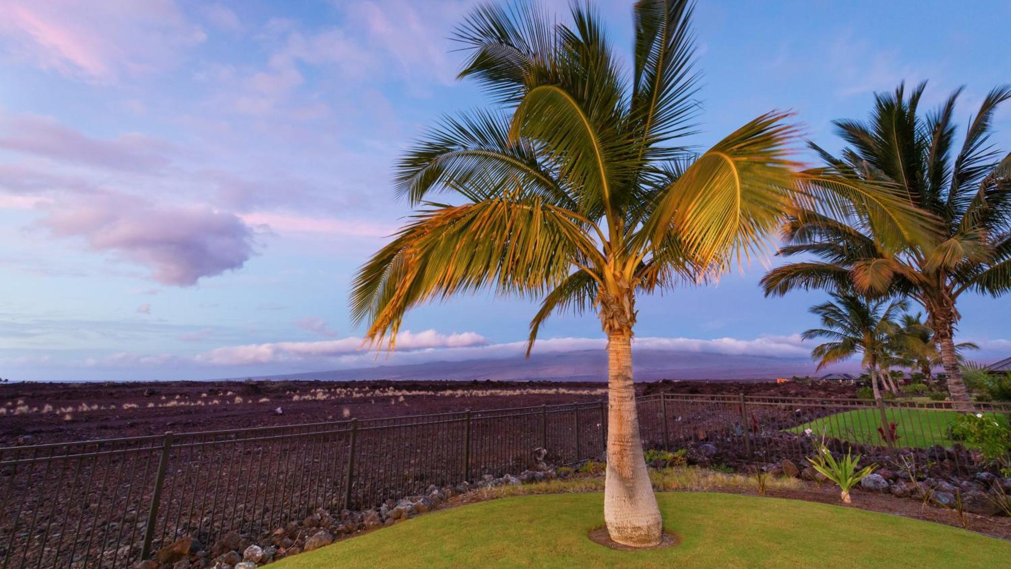 Starry Nights Dreamy 4Br Ainamalu Home With Mountain View Waikoloa Dış mekan fotoğraf